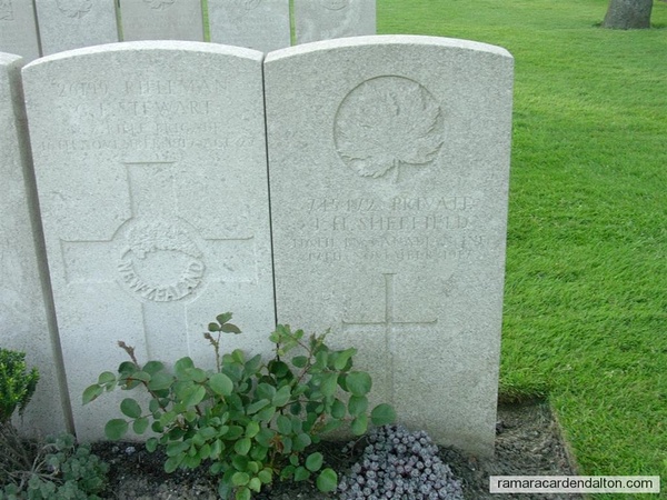 John H. SHEFFIELD, / Lijssenthoek Military Cemetery, Belgium