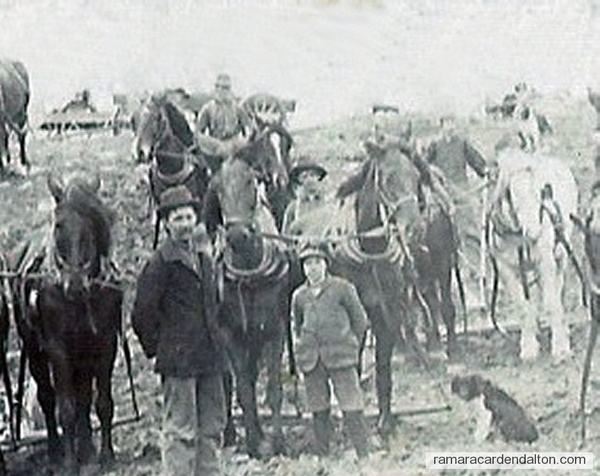The Plowing Bee about 1904