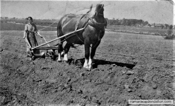 Nellie Murphy seeding turnips'.