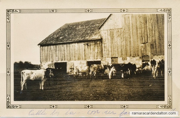 The barn on the Fairvalley Elder farm now owned by Bill Lee