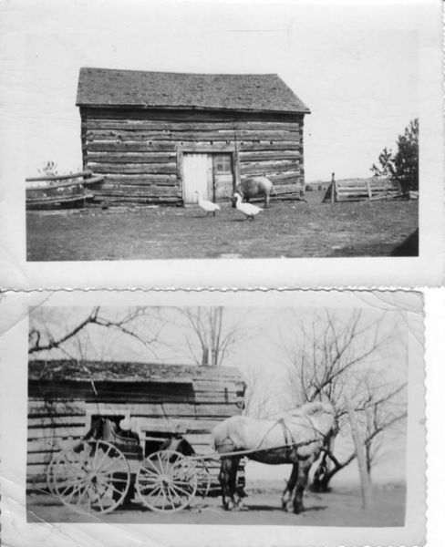 Murphy Farm original log pig pen and 4-wheeled buggy in front of original log house. Corcelli collection