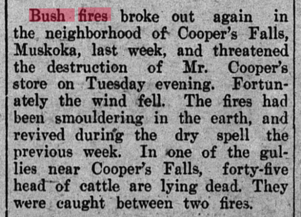Bush Fires 1913