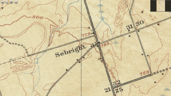 Sebright 1916