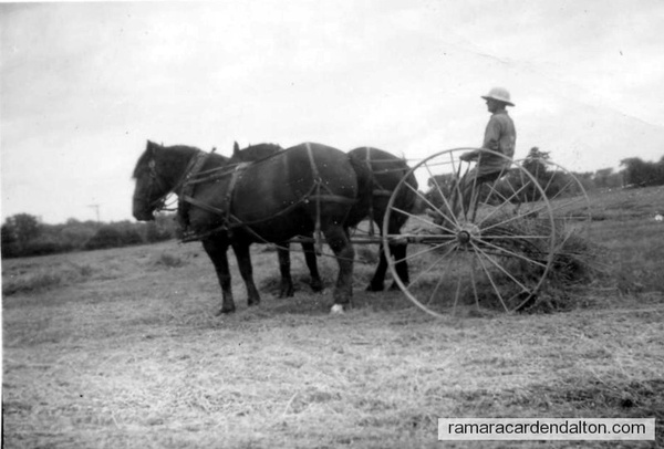 Raking Hay-1950