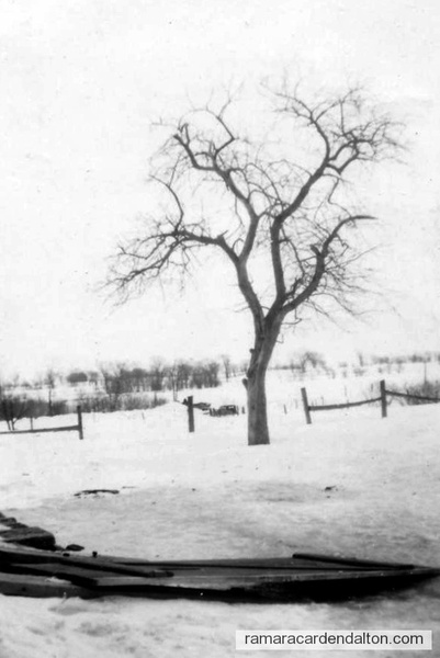 Snow plough 1947, Fairvalley