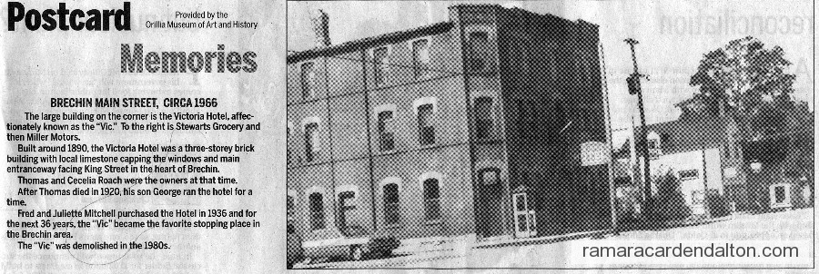 Photo of the day 1001 - Photo of the day