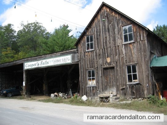 Photo of the day 1017 - Photo of the day