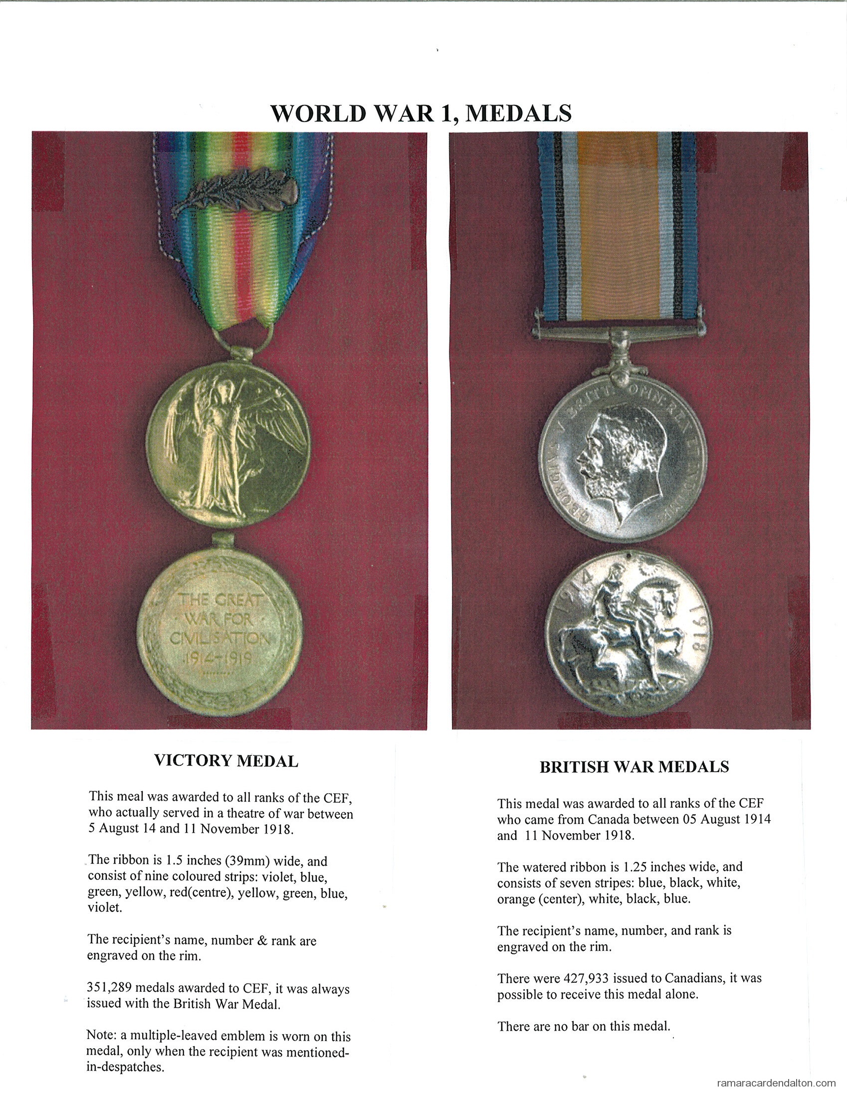 Photo of the day 1020 - Photo of the day