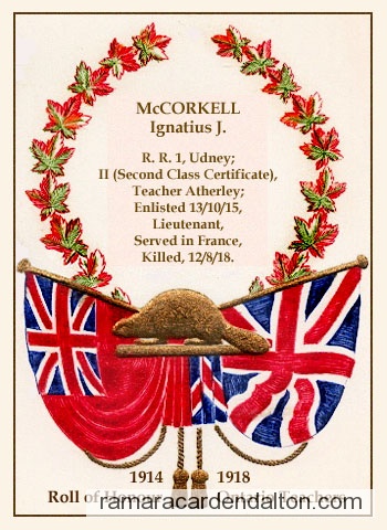 Photo of the day 1026 - Photo of the day