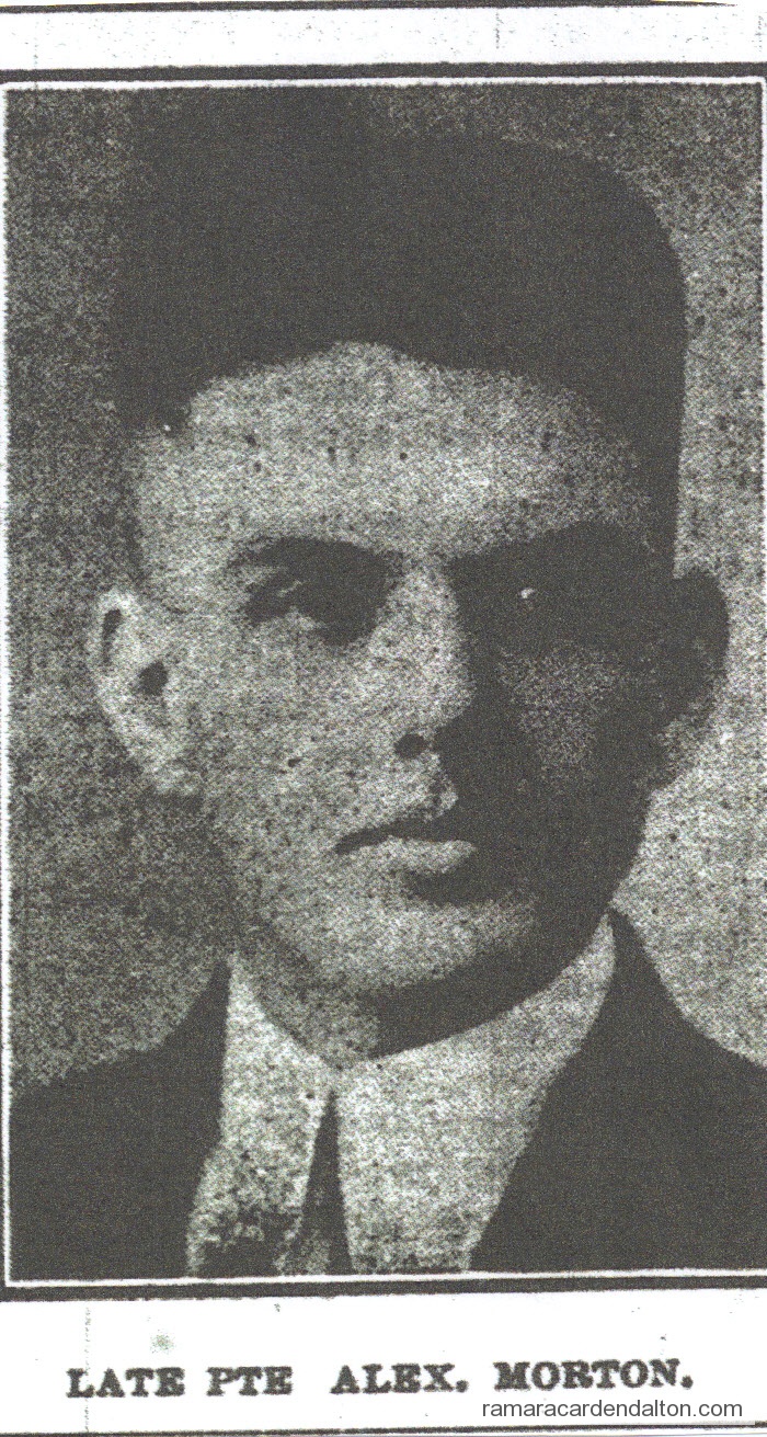 Photo of the day 1113 - Photo of the day