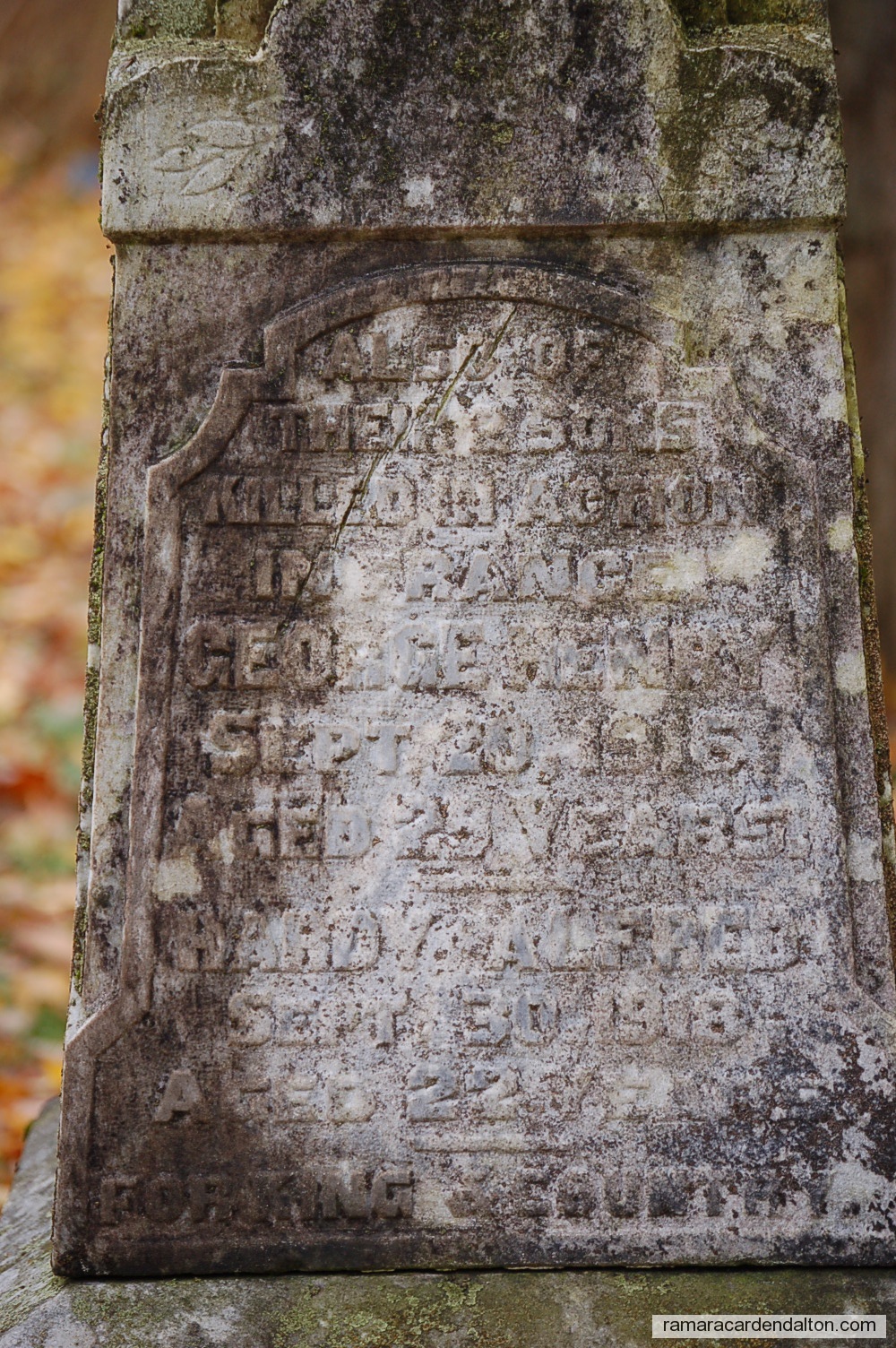 Photo of the day 1117 - Photo of the day