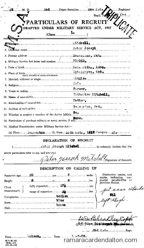 Photo of the day 1136 - Photo of the day