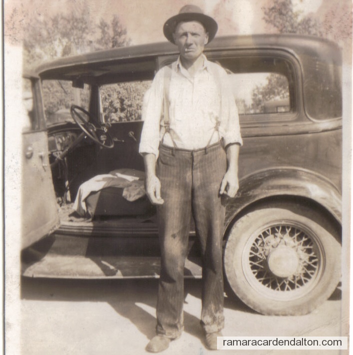 Photo of the day 1146 - Photo of the day