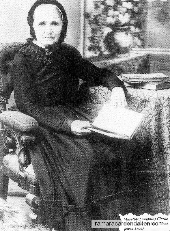 Photo of the day 1151 - Photo of the day