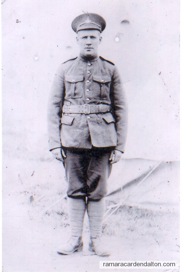 Photo of the day 1186 - Photo of the day