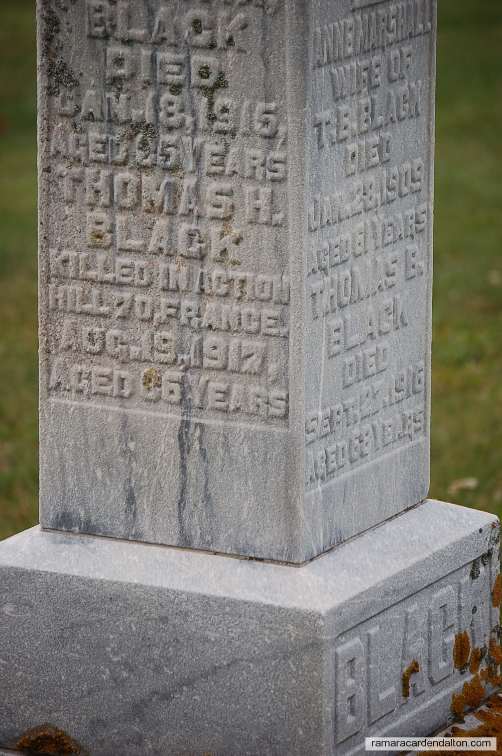 Photo of the day 1195 - Photo of the day