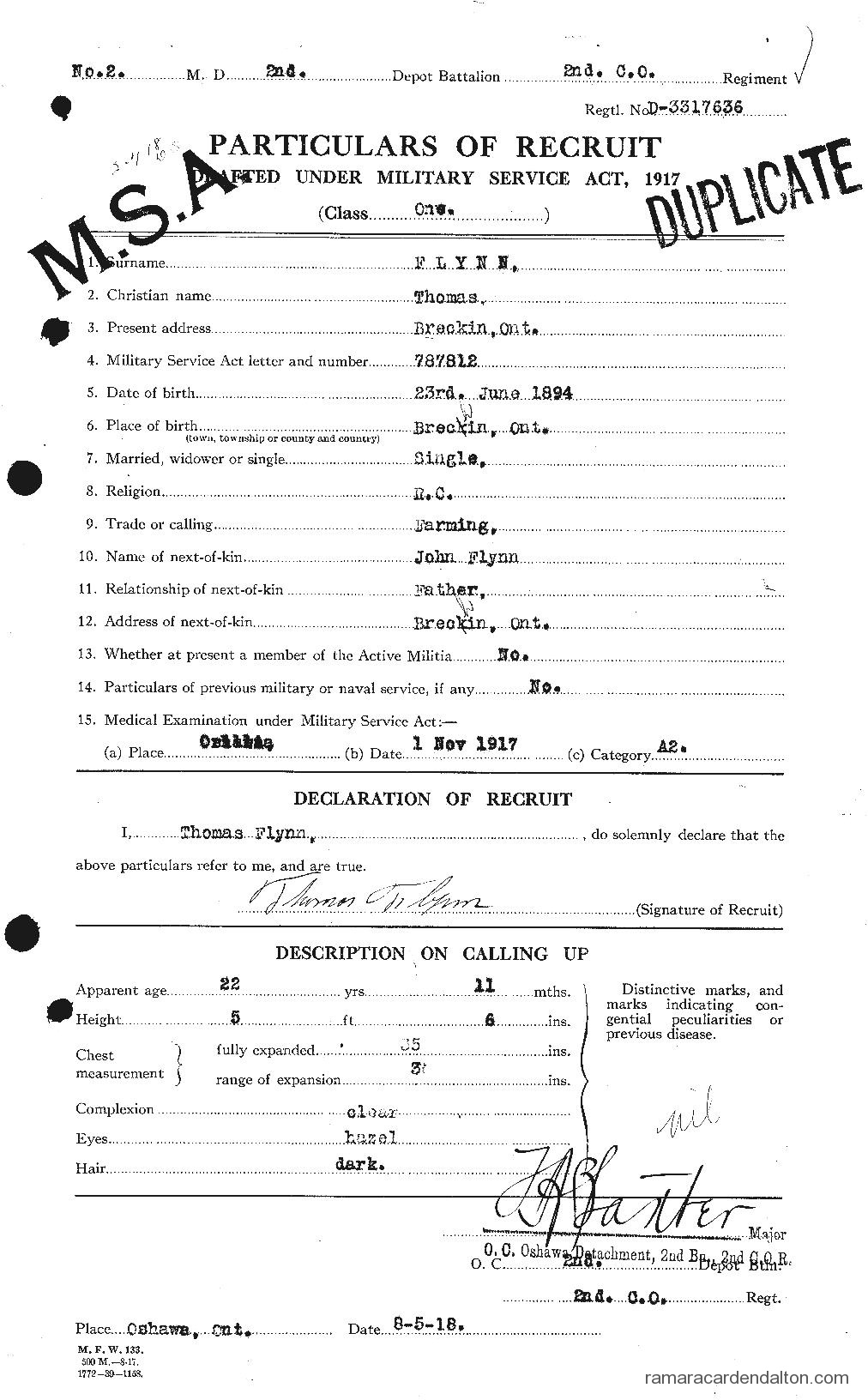 Photo of the day 1301 - Photo of the day