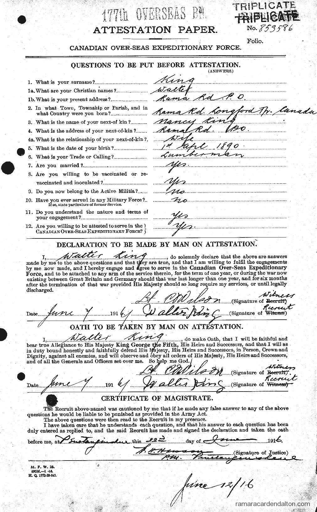 Photo of the day 1305 - Photo of the day