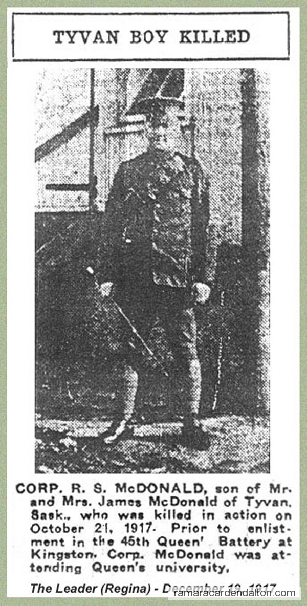 Photo of the day 1362 - Photo of the day