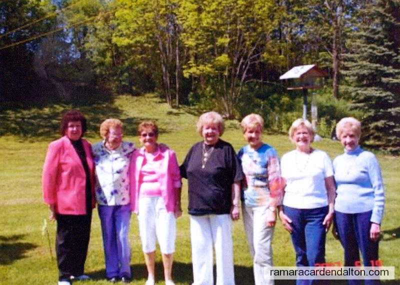 Photo of the day 1396 - Photo of the day