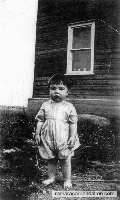 Photo of the day 1401 - Photo of the day