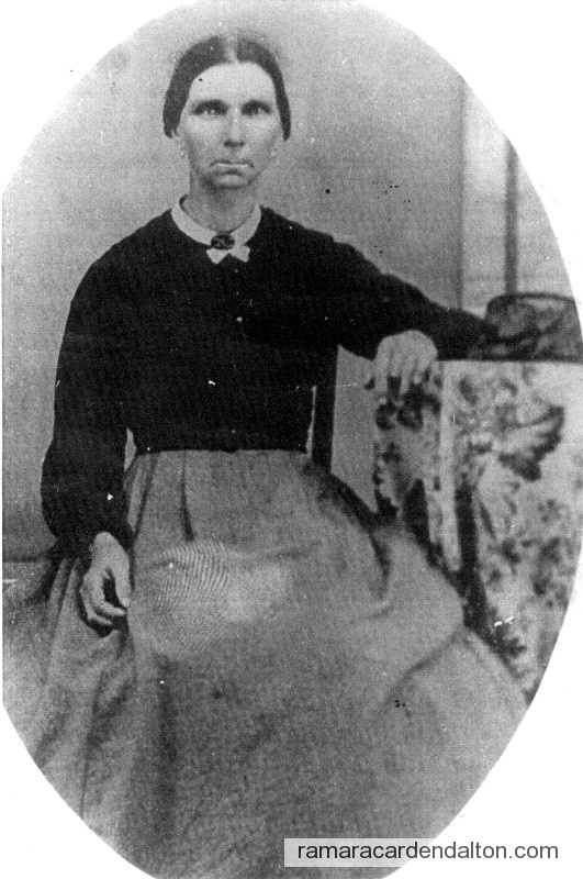 Photo of the day 1410 - Photo of the day