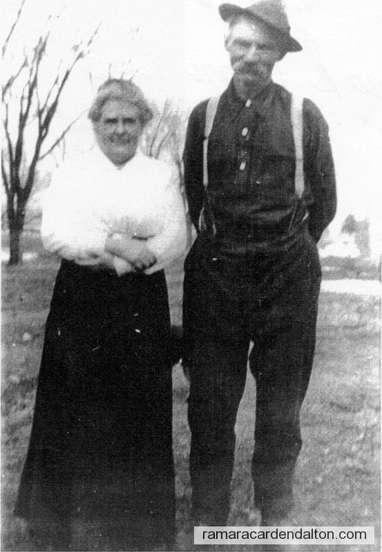 Photo of the day 1412 - Photo of the day