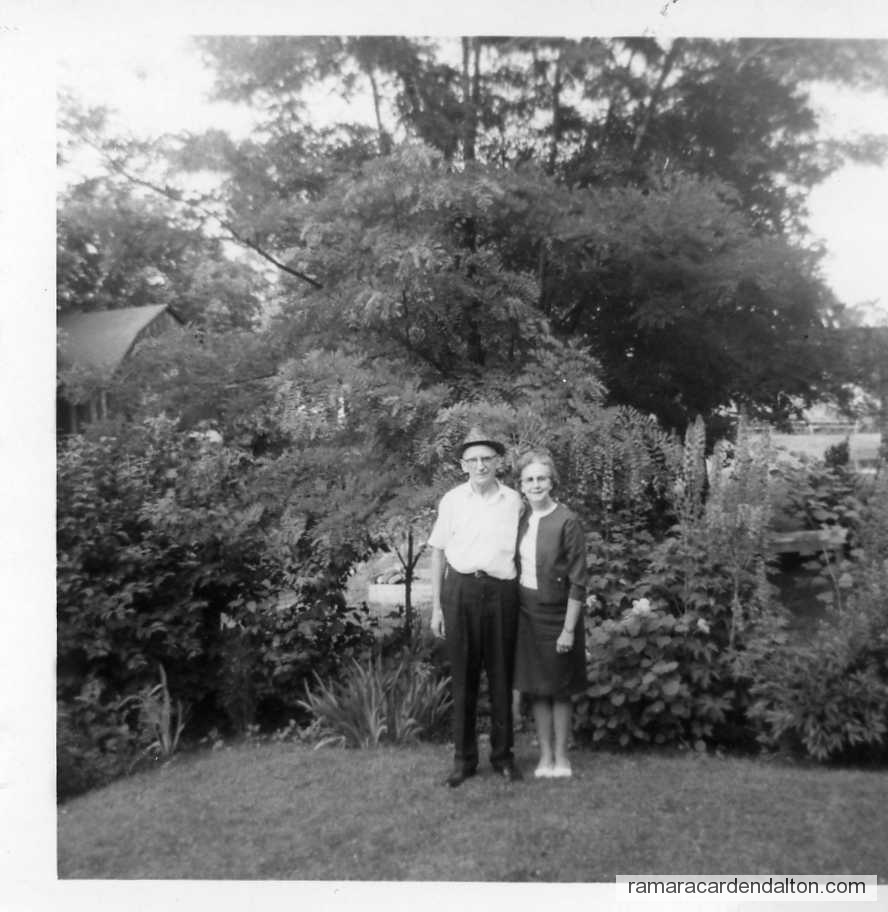 Photo of the day 1415 - Photo of the day