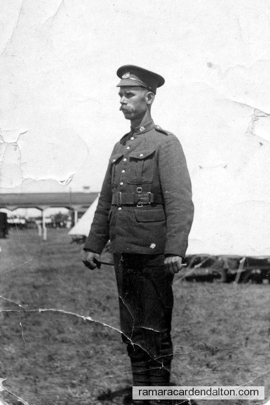 Photo of the day 1462 - Photo of the day