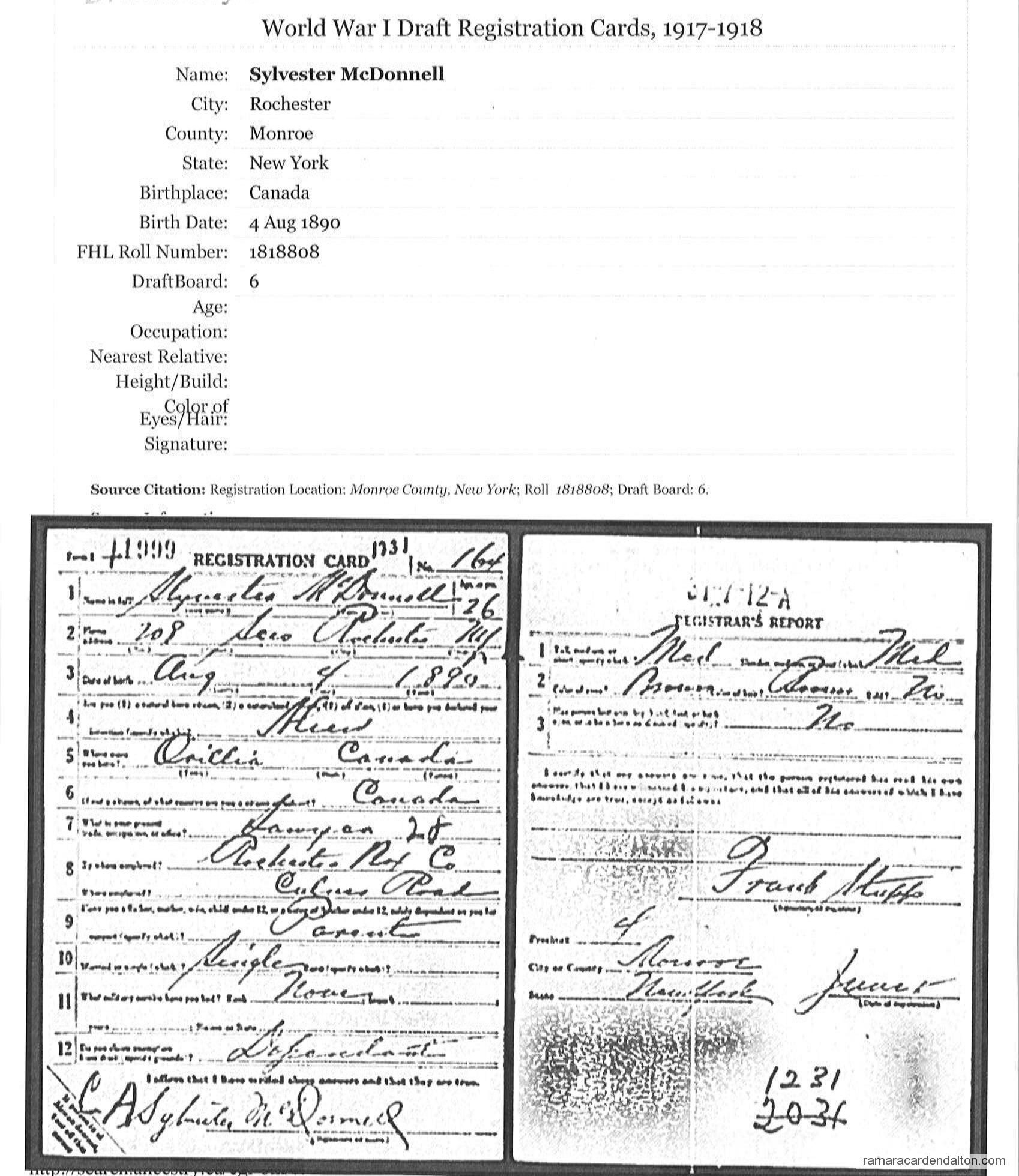 Photo of the day 1477 - Photo of the day