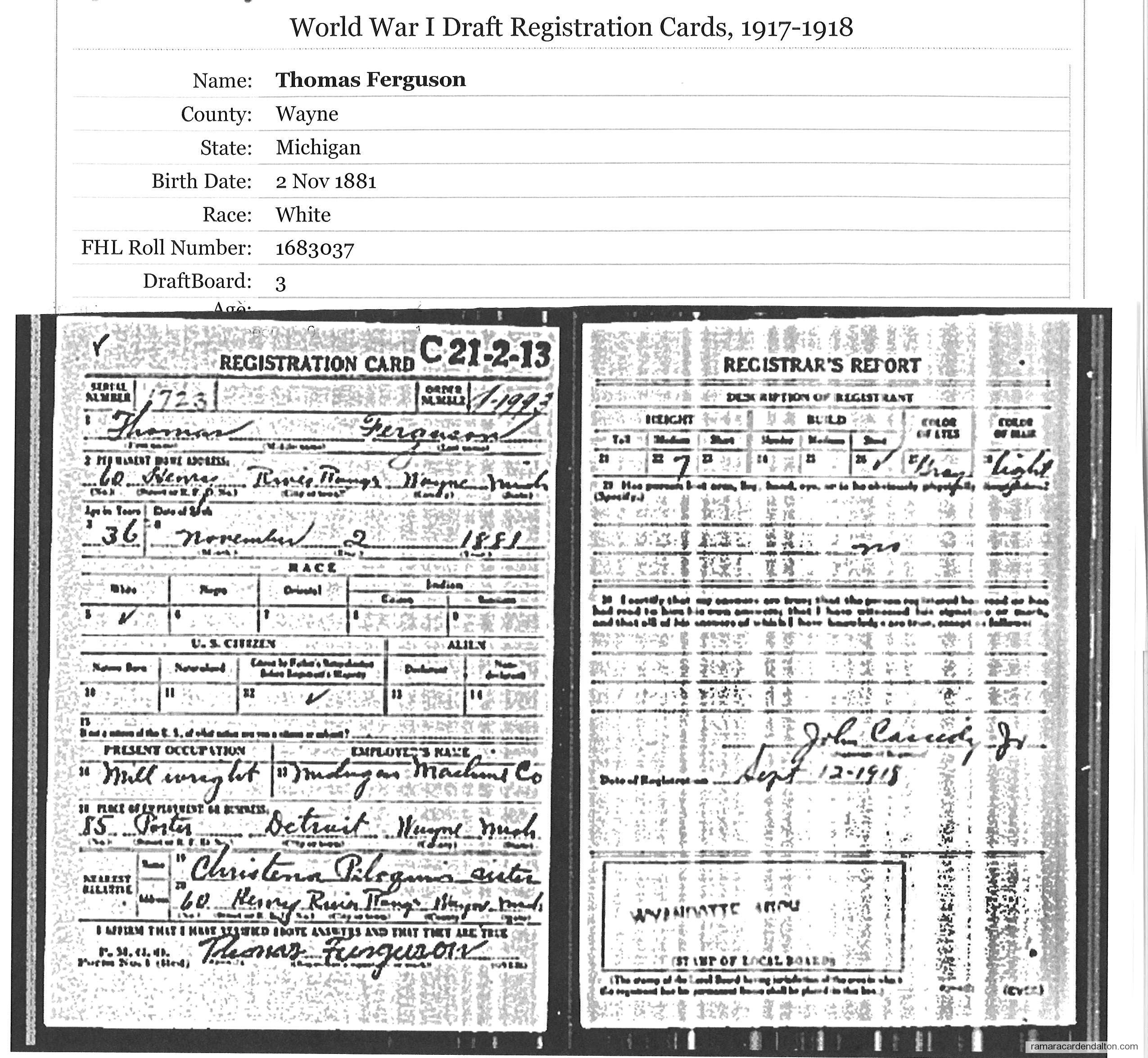 Photo of the day 1503 - Photo of the day