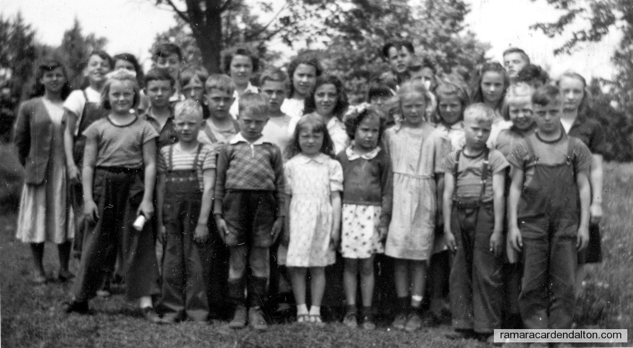 Photo of the day 1508 - Photo of the day