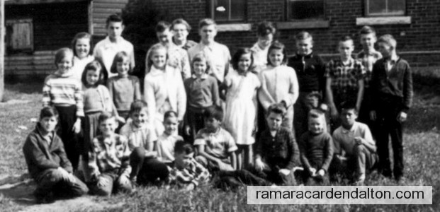 Photo of the day 1535 - Photo of the day