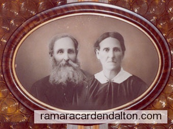 Photo of the day 1554 - Photo of the day