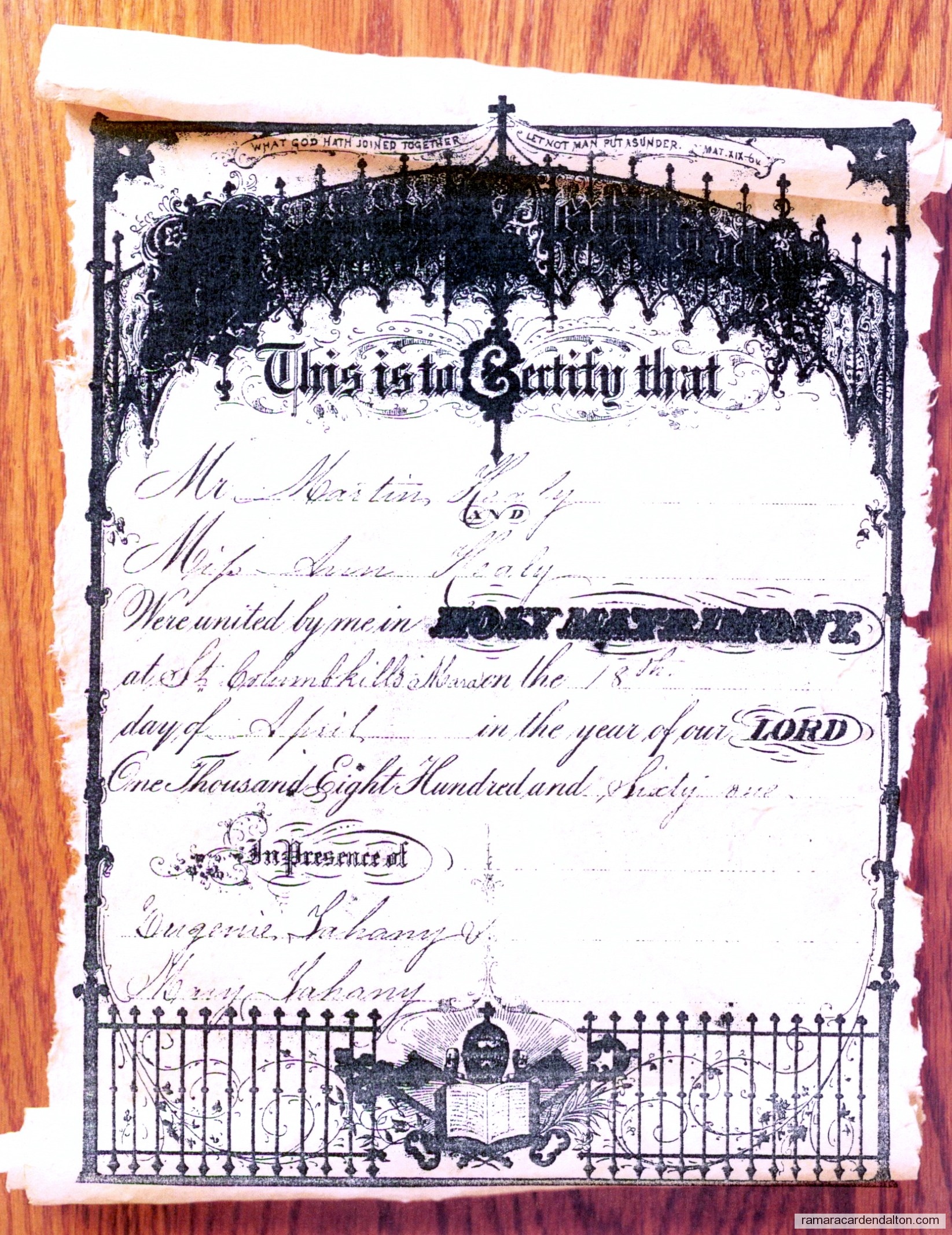 Photo of the day 1579 - Photo of the day