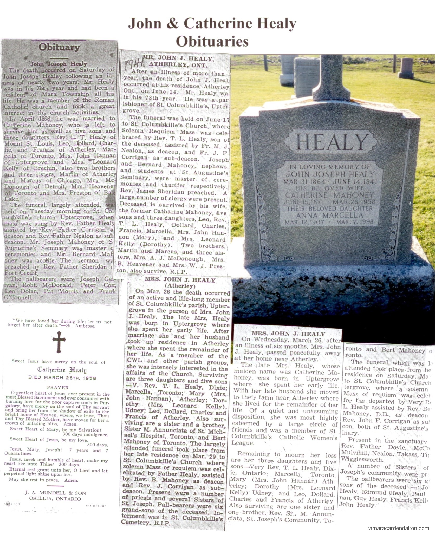 Photo of the day 1585 - Photo of the day