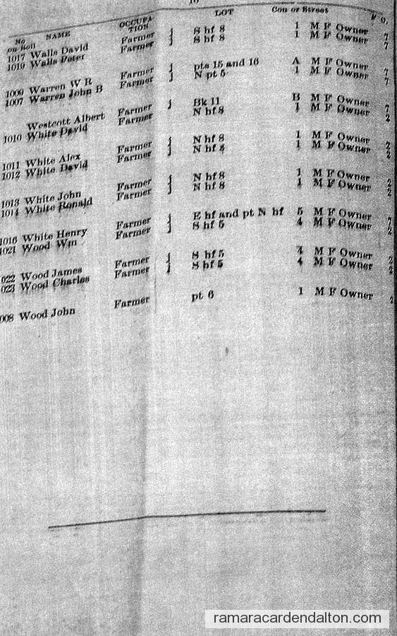 Photo of the day 1617 - Photo of the day