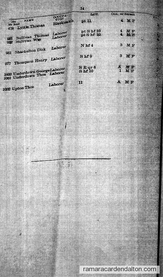 Photo of the day 1620 - Photo of the day