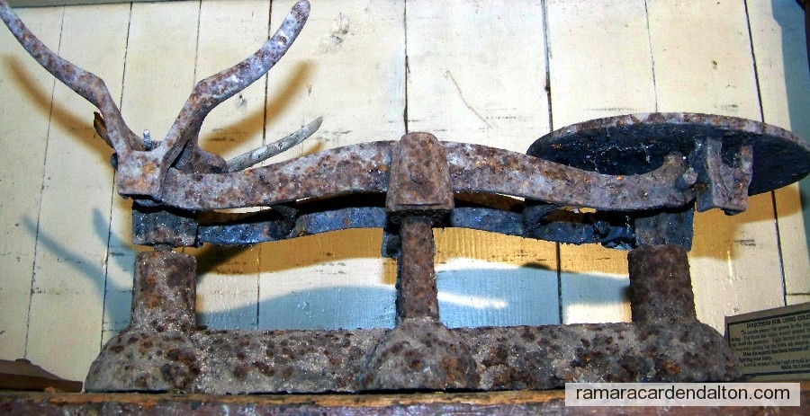 Photo of the day 1654 - Photo of the day