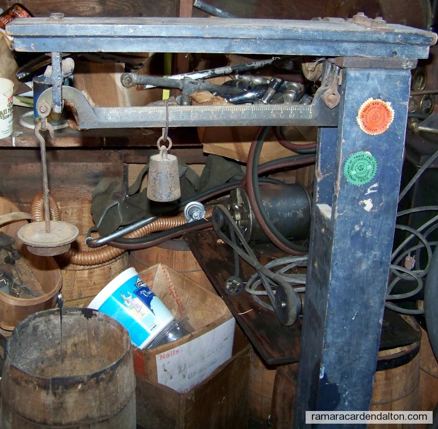 Photo of the day 1664 - Photo of the day