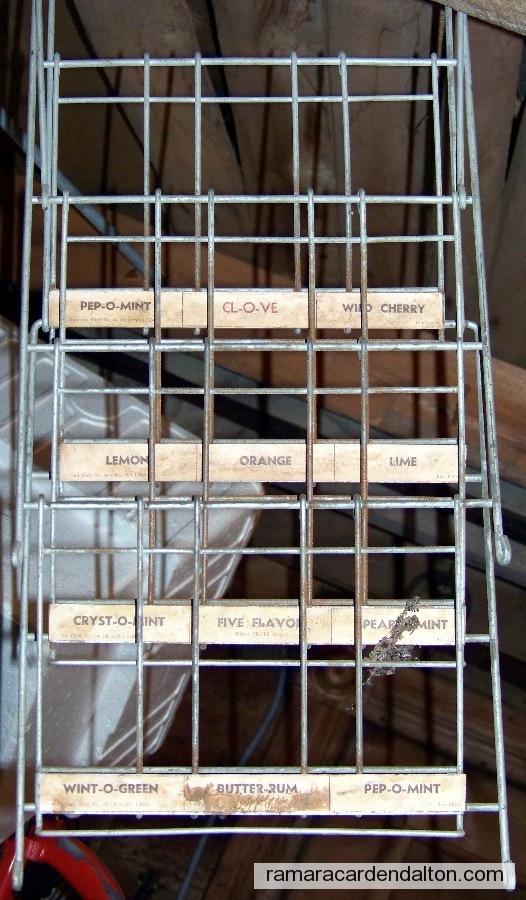 Photo of the day 1675 - Photo of the day