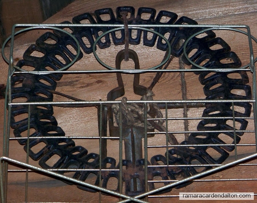 Photo of the day 1676 - Photo of the day