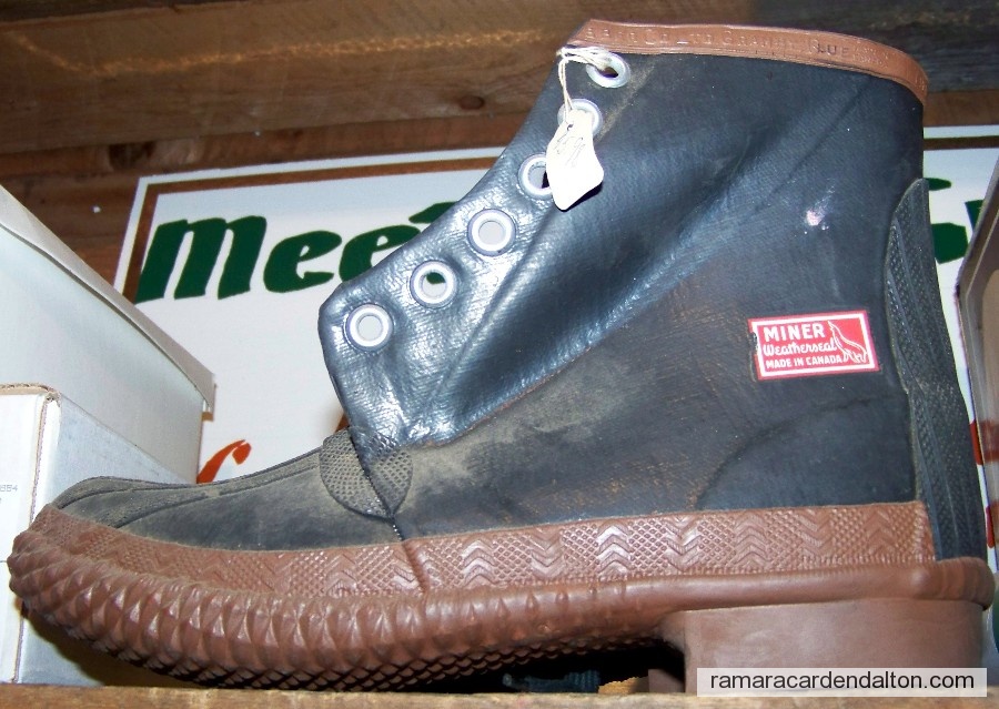 Photo of the day 1678 - Photo of the day