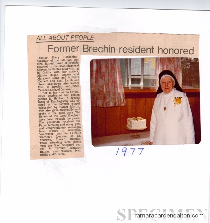 Photo of the day 1719 - Photo of the day