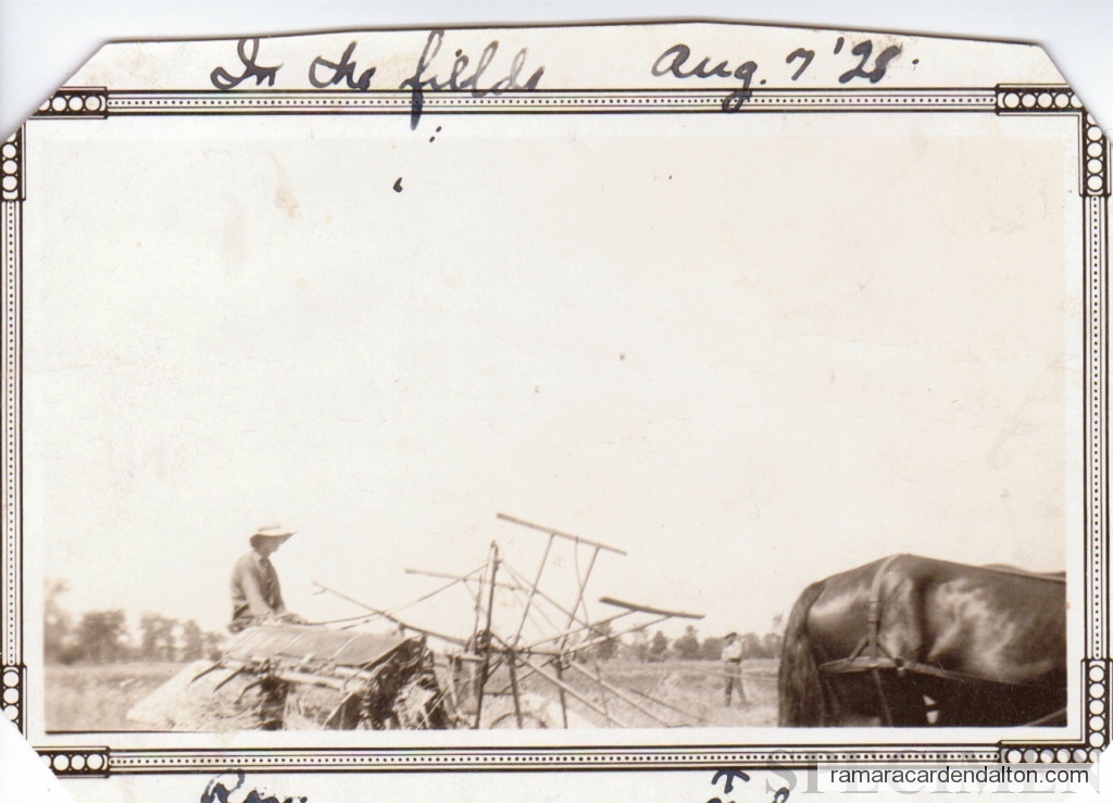 Photo of the day 1723 - Photo of the day