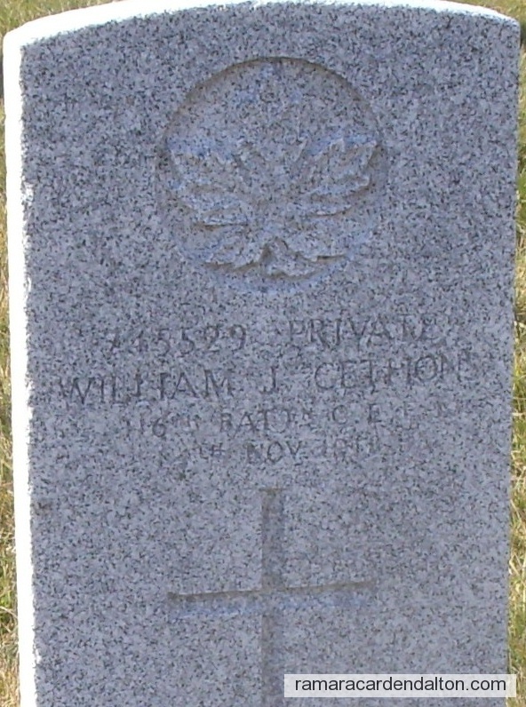 Photo of the day 1762 - Photo of the day