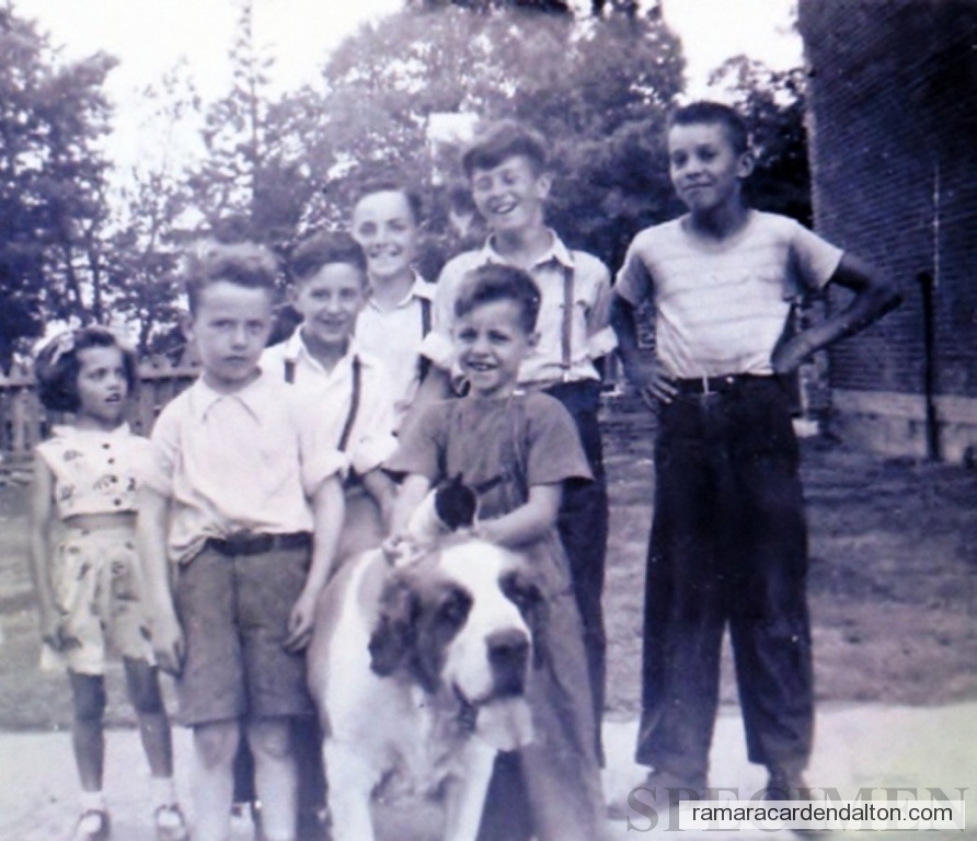 Photo of the day 178 - Photo of the day