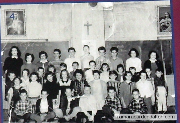 Photo of the day 1827 - Photo of the day