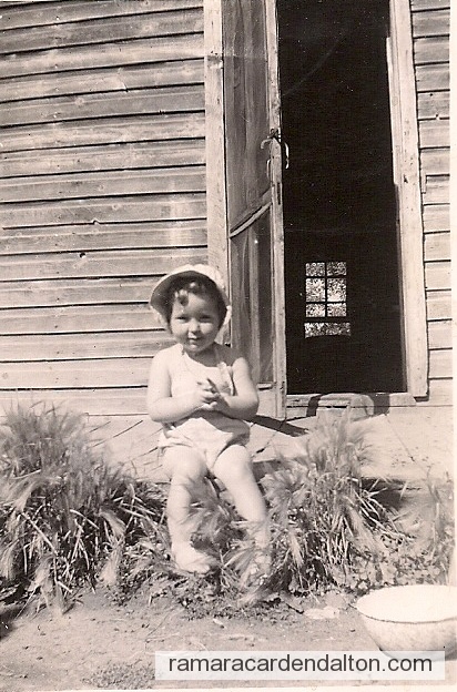 Photo of the day 1835 - Photo of the day