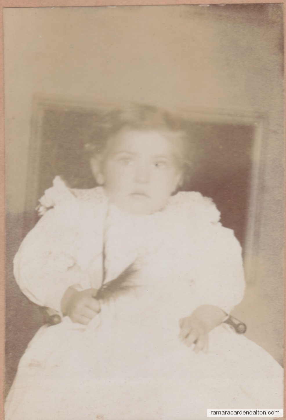 Photo of the day 1849 - Photo of the day